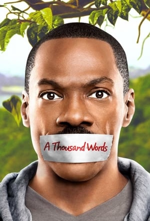 A Thousand Words (2012) Hindi Dual Audio | Hindi Dubbed Movie BluRay 300MB