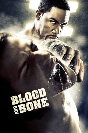 Blood and Bone (2009) Hindi Dual Audio | Hindi Dubbed Movie BluRay 300MB