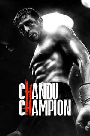 Chandu Champion 2024 Hindi HDRip | Hindi Dubbed Movie – 480p – 1080p