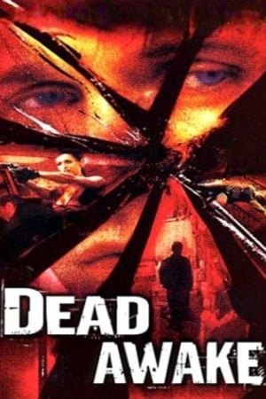 Dead Awake 2001 Hindi Dual Audio | Hindi Dubbed Movie WebRip [1GB]