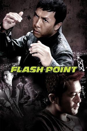 Flash Point (2007) Hindi Dual Audio | Hindi Dubbed Movie BluRay [1GB]