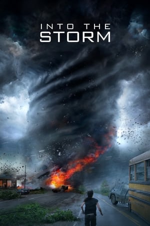 Into the Storm (2014) Hindi Dual Audio | Hindi Dubbed Movie BluRay [1GB]