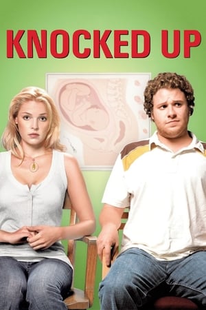 Knocked Up (2007) Hindi Dual Audio | Hindi Dubbed Movie BluRay [1GB]