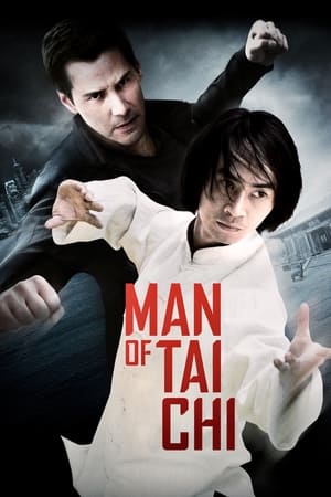 Man of Tai Chi (2013) Hindi Dual Audio HDRip | Hindi Dubbed Movie – 480p