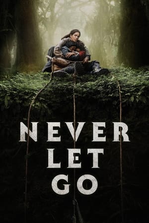 Never Let Go 2024 Hindi Dual Audio HDRip | Hindi Dubbed Movie – 720p – 480p