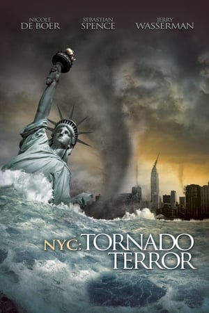 NYC Tornado Terror 2008 Hindi Dual Audio | Hindi Dubbed Movie BluRay [1.1GB]
