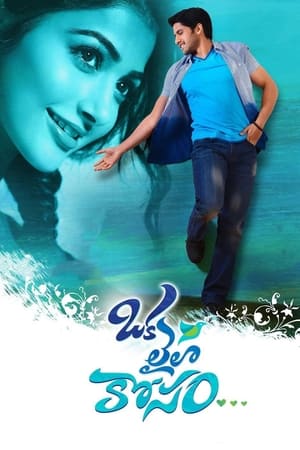 Oka Laila Kosam 2014 (Hindi – Telugu) Dual Audio | Hindi Dubbed Movie UnCut HDRip [1.2GB]