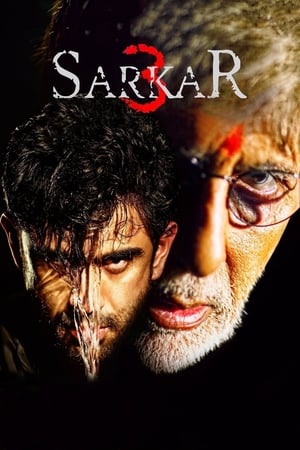 Sarkar 3 2017 Full Movie DVDRip | Hindi Dubbed Movie [700MB] Download