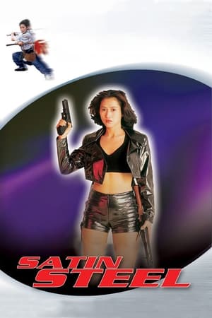 Satin Steel (1994) Hindi Dual Audio | Hindi Dubbed Movie Web-DL 260MB