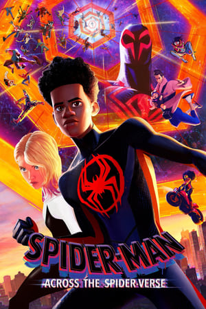 Spider-Man: Across the Spider-Verse 2023 Hindi (ORG) HDRip | Hindi Dubbed Movie | 480p