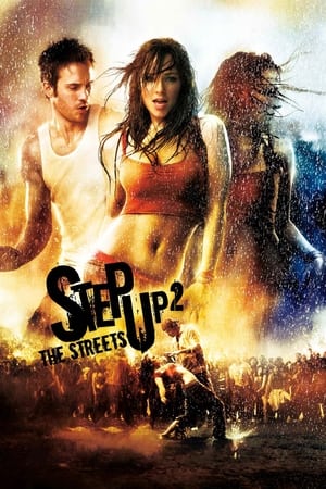 Step Up 2 The Streets 2008 Hindi Dual Audio | Hindi Dubbed Movie BluRay [700MB]