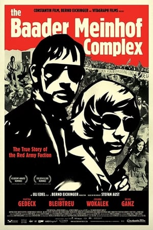 The Baader Meinhof Complex (2008) Hindi Dual Audio | Hindi Dubbed Movie HDRip [1.2GB]