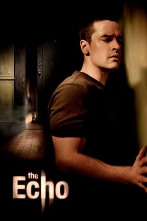 The Echo (2008) Hindi Dual Audio | Hindi Dubbed Movie BluRay [900MB]