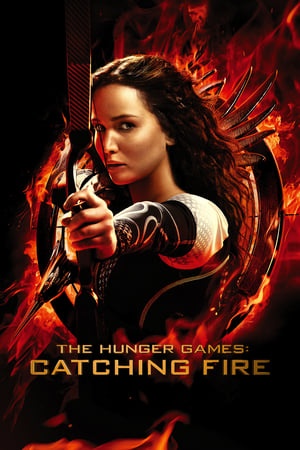 The Hunger Games Catching Fire 2013 Hindi Dual Audio | Hindi Dubbed Movie BluRay 480MB