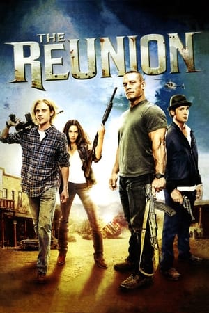 The Reunion (2011) Hindi Dual Audio | Hindi Dubbed Movie HDRip [900MB]