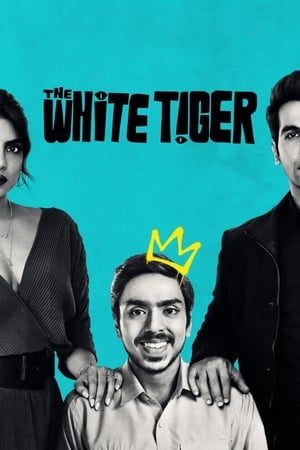 The White Tiger (2021) Hindi Movie | Hindi Dubbed Movie HDRip x264 [990MB]