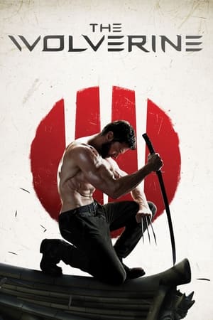 The Wolverine (2013) Hindi Dual Audio | Hindi Dubbed Movie BluRay 430MB