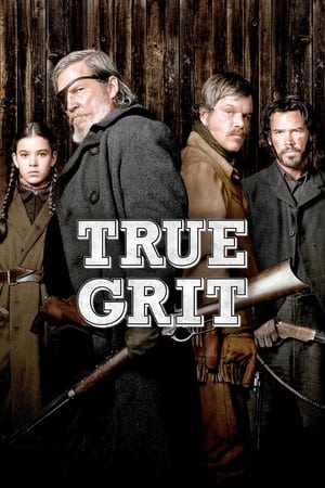 True Grit (2010) Hindi Dual Audio | Hindi Dubbed Movie BluRay 350MB