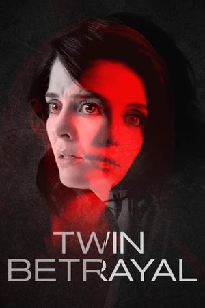 Twin Betrayal (2018) Hindi Dual Audio | Hindi Dubbed Movie HDRip 390MB